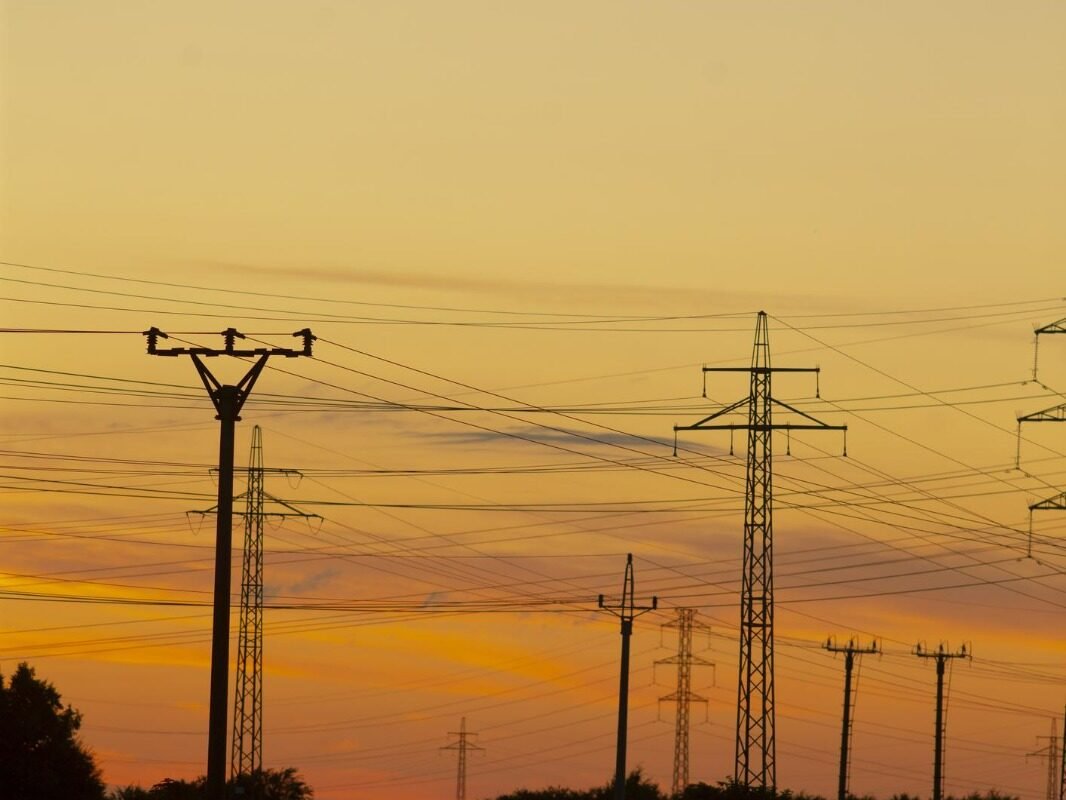 whatsapp image 2026 03 18 at 12.03.01